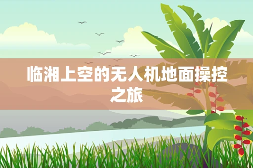 临湘上空的无人机地面操控之旅
