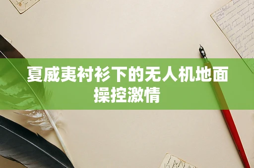 夏威夷衬衫下的无人机地面操控激情