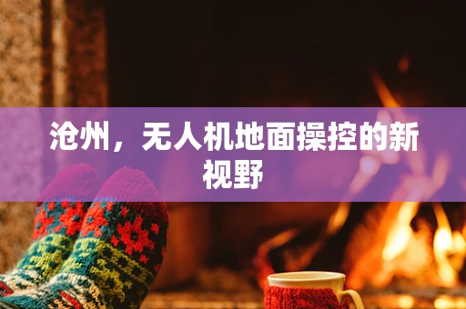 沧州，无人机地面操控的新视野