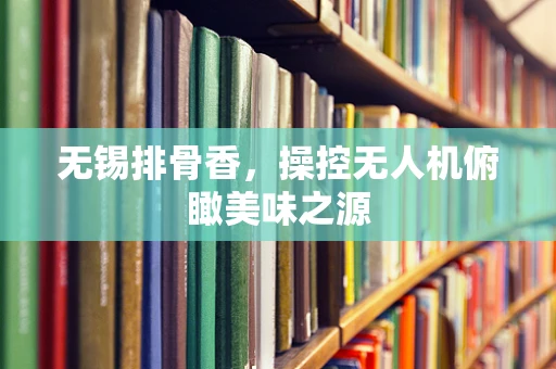 无锡排骨香，操控无人机俯瞰美味之源