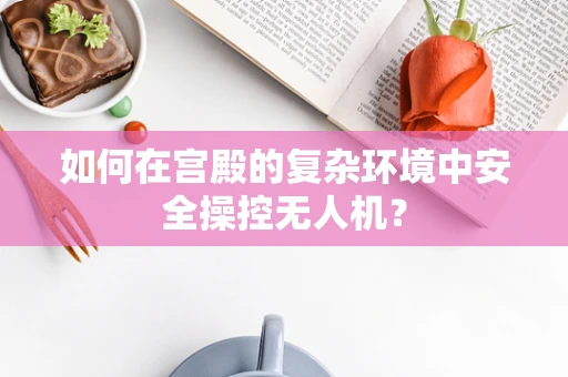 如何在宫殿的复杂环境中安全操控无人机？