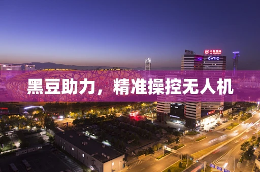 黑豆助力，精准操控无人机