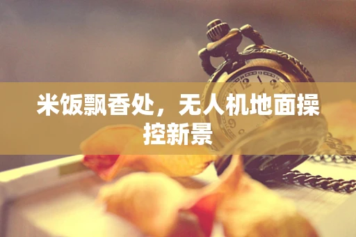 米饭飘香处，无人机地面操控新景