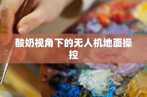 酸奶视角下的无人机地面操控