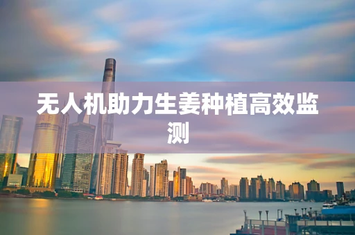 无人机助力生姜种植高效监测
