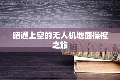 昭通上空的无人机地面操控之旅