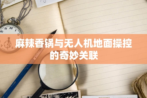麻辣香锅与无人机地面操控的奇妙关联