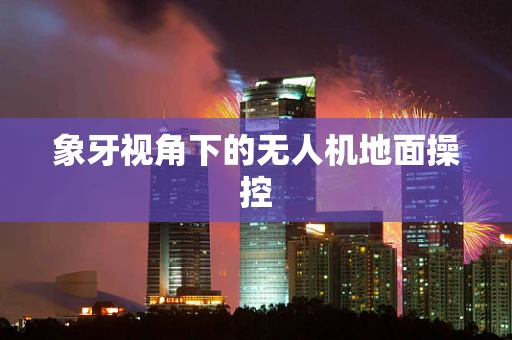 象牙视角下的无人机地面操控