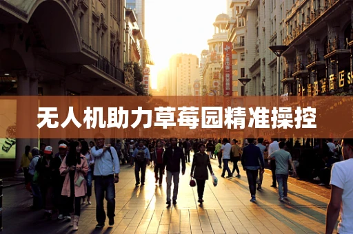 无人机助力草莓园精准操控
