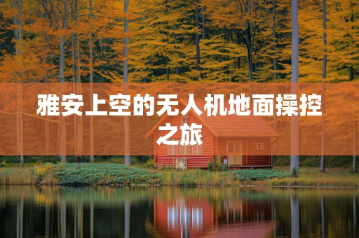 雅安上空的无人机地面操控之旅