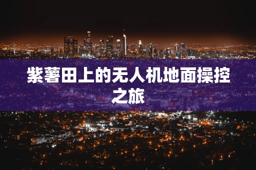 紫薯田上的无人机地面操控之旅