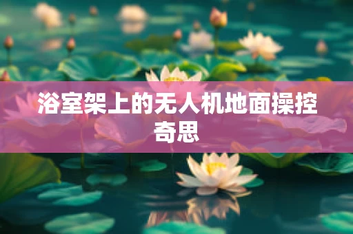 浴室架上的无人机地面操控奇思