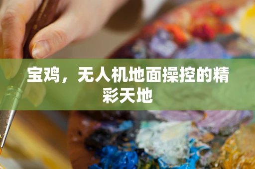 宝鸡，无人机地面操控的精彩天地