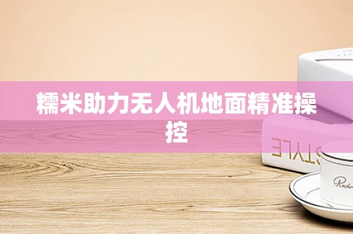 糯米助力无人机地面精准操控
