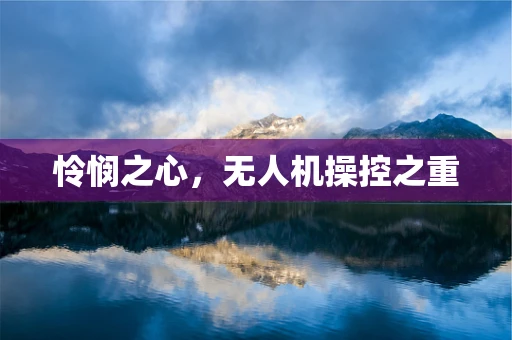 怜悯之心，无人机操控之重