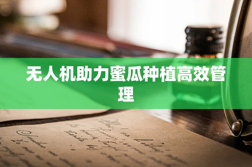 无人机助力蜜瓜种植高效管理