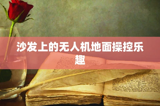 沙发上的无人机地面操控乐趣