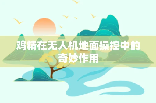 鸡精在无人机地面操控中的奇妙作用
