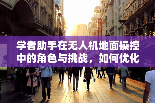 学者助手在无人机地面操控中的角色与挑战，如何优化人机交互界面？