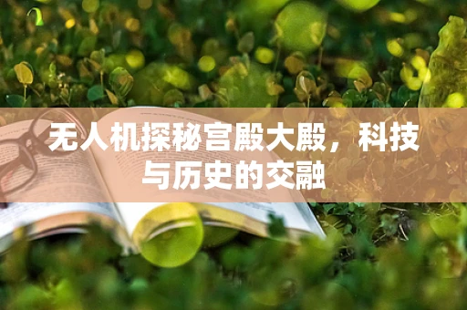 无人机探秘宫殿大殿，科技与历史的交融