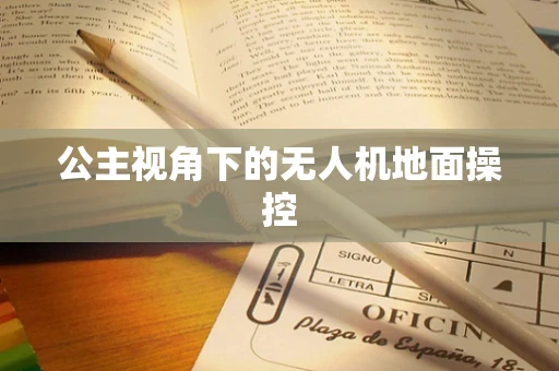 公主视角下的无人机地面操控