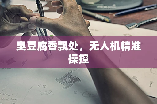 臭豆腐香飘处，无人机精准操控