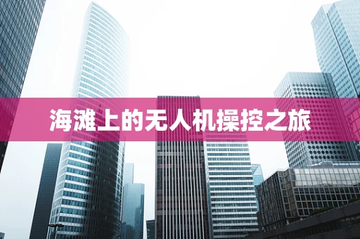海滩上的无人机操控之旅