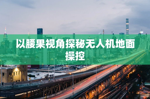 以腰果视角探秘无人机地面操控