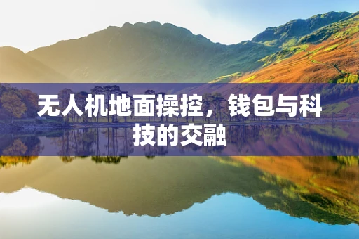 无人机地面操控，钱包与科技的交融