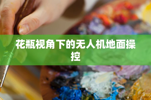 花瓶视角下的无人机地面操控