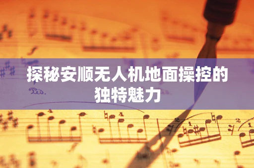 探秘安顺无人机地面操控的独特魅力