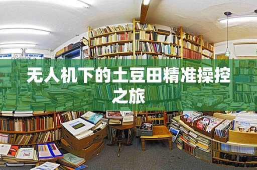 无人机下的土豆田精准操控之旅
