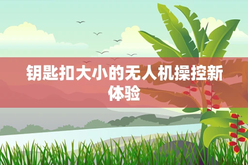 钥匙扣大小的无人机操控新体验