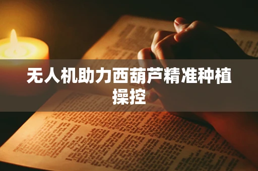 无人机助力西葫芦精准种植操控