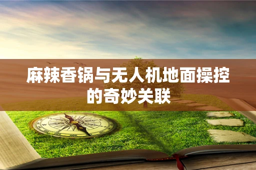 麻辣香锅与无人机地面操控的奇妙关联
