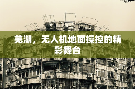 芜湖，无人机地面操控的精彩舞台