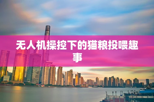 无人机操控下的猫粮投喂趣事