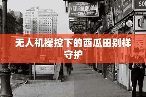 无人机操控下的西瓜田别样守护