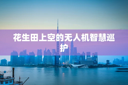 花生田上空的无人机智慧巡护