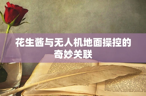 花生酱与无人机地面操控的奇妙关联