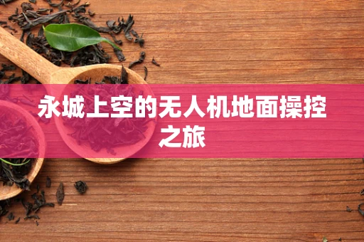 永城上空的无人机地面操控之旅