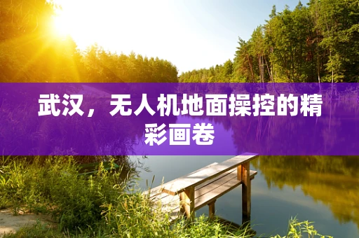 武汉，无人机地面操控的精彩画卷