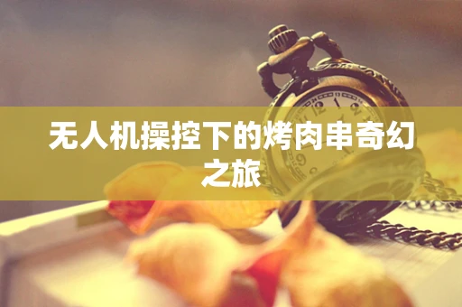 无人机操控下的烤肉串奇幻之旅
