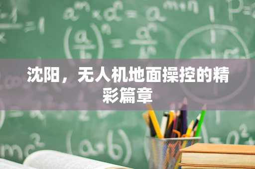 沈阳，无人机地面操控的精彩篇章