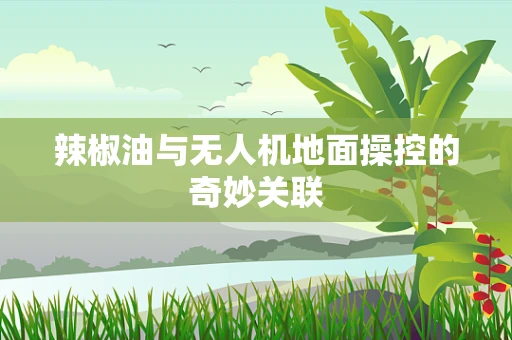 辣椒油与无人机地面操控的奇妙关联