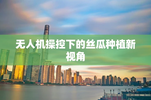 无人机操控下的丝瓜种植新视角