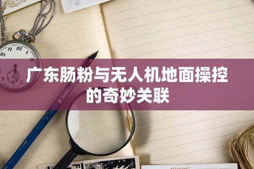 广东肠粉与无人机地面操控的奇妙关联