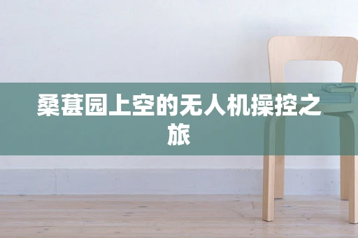 桑葚园上空的无人机操控之旅