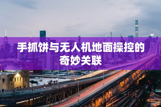 手抓饼与无人机地面操控的奇妙关联