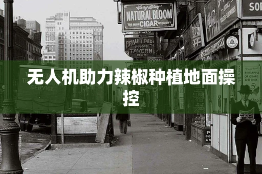 无人机助力辣椒种植地面操控
